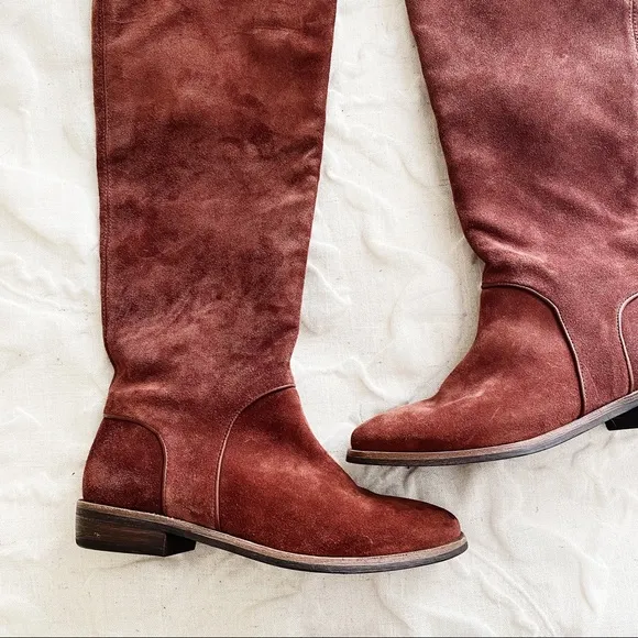 BOGO UGG Daley Tall Boots Size 6 New $250
