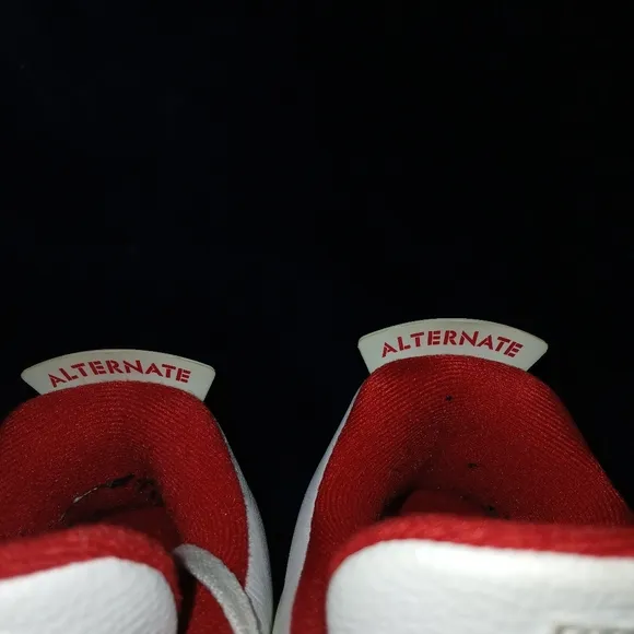 COPY - Jordan Retro alternate 89 2016 Red and White