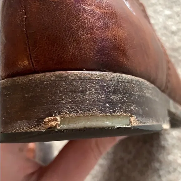 Frye | Frye Anna shortie boots