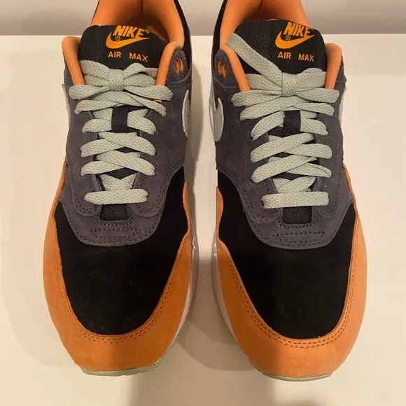 Men's Nike Air Max 1 PRM Anthracite/Honeydew-Black (DZ0482 001) Size 9