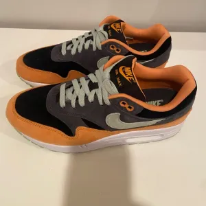 Men's Nike Air Max 1 PRM Anthracite/Honeydew-Black (DZ0482 001) Size 9