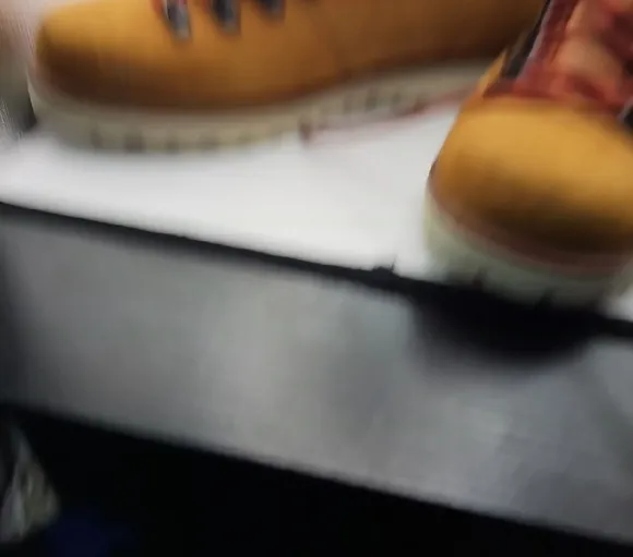 The North Face Men's Tan Hiking Boots