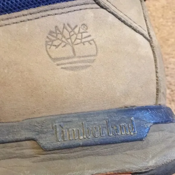 Timberland Hiking Boots in Blue and Tan